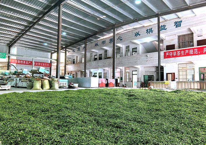 fororder_校舍改建后的川徽玉叶茶叶加工厂